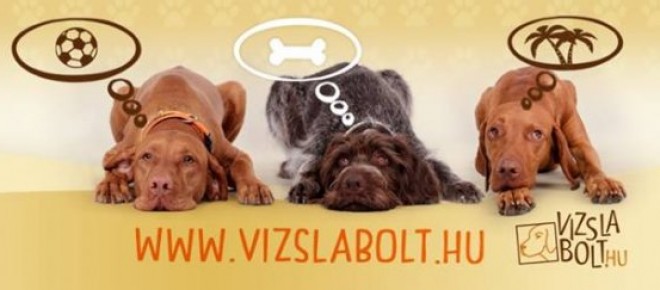 Vizslabolt