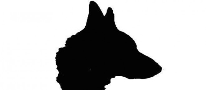 Black Dog is Beautiful