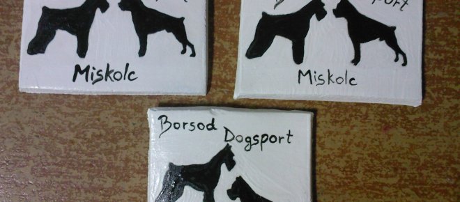 Borsod Dogsport Kutyaiskola