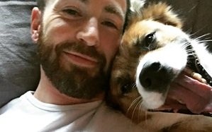 Chris Evans és Dodger: A Sztár és Hűséges Társa 