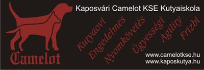 Camelot KSE